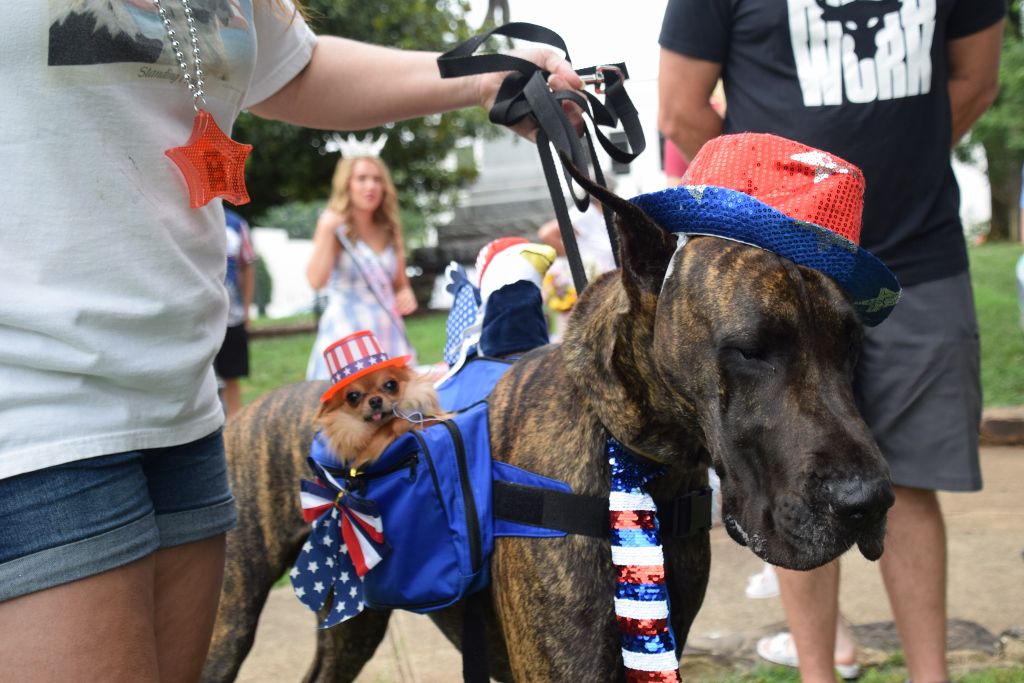 dog show 6-2019 022 (1024x683).jpg